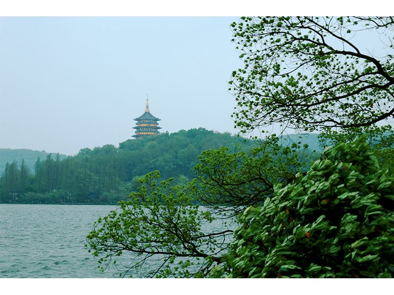 人文杭州，父母们来了！河南矿山第十三届孝文化感恩旅游节第三站